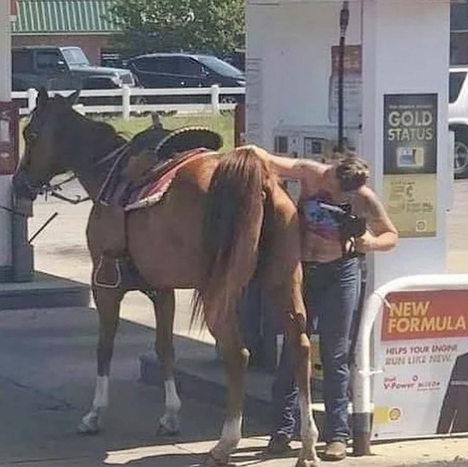 cursed gas station - Gold Status New Formula Helps Your Engine Run New